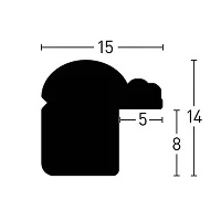 schema_ascott