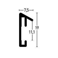 schema_pixel