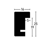 schema_quadrum